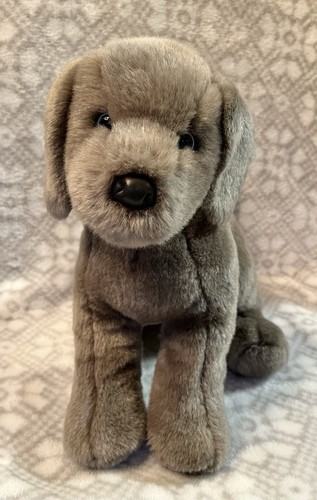 Douglas hans weimaraner - douglas,