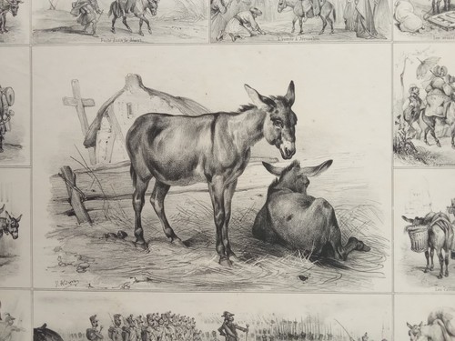 Antica litografia 1850 - antica,