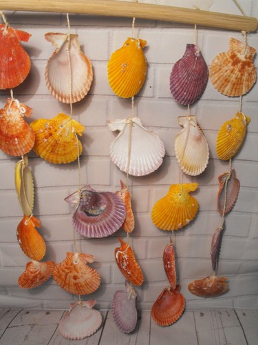Decorazione conchiglia guest - decorazione,