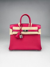 Hermes Birkin 25 Matte