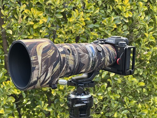 Sigma 500mm dg dn - af,