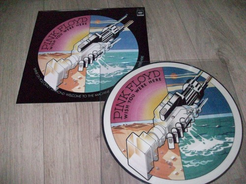 Pink floyd wish you - pink,