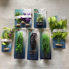 Lotto piante acquatiche - piante,