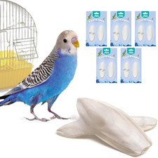 - Osso Di Seppia Naturale Con