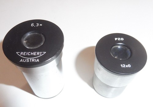 Oculari pzo per microscopio - oculari,
