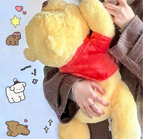 Cuscino winnie the pooh - cuscino,