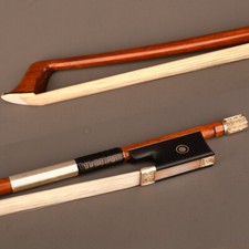 Arco violino solista