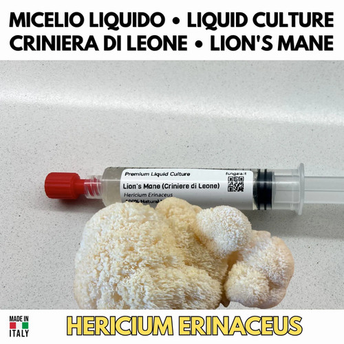 Kit festa papà - kit, lion's