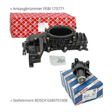 Collettore aspirazione +