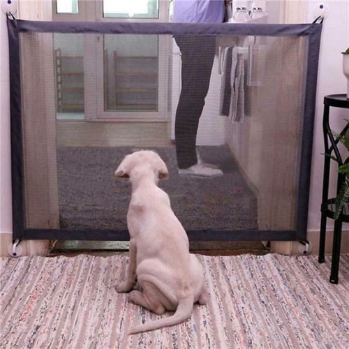 Recinto rete per - cani, cane