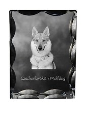 Cane Lupo Cecoslovacco -