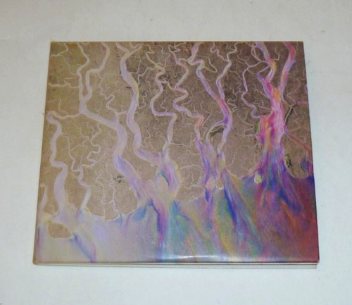 Alt awesome wave cd dvd - alt-j,