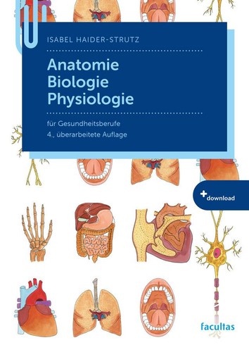 Isabel haider strutz anatomie - isabel,