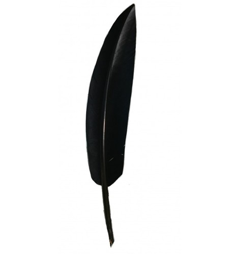 Penna nera naturale prima - nera, di