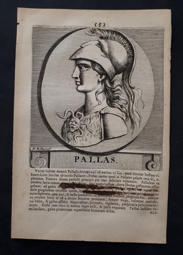 Inc spoor 1715 pallas - spoor,