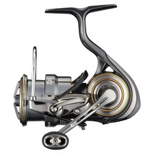 Mulinello da Pesca Daiwa 21