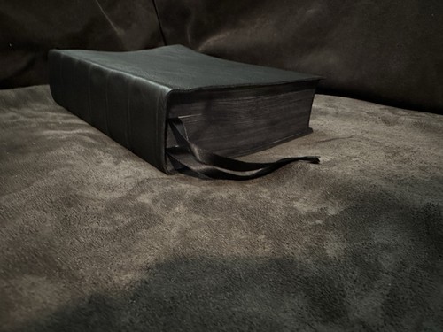 1560 geneva bible all - bible, (text)