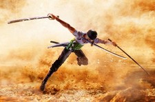 One piece roronoa - roronoa, zoro
