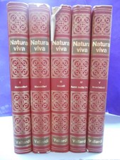 natura viva enciclopedia