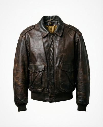 Schott nyc flight jacket - schott,