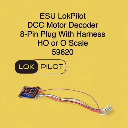 Decoder motore lokpilot dcc - decoder,
