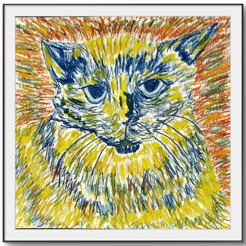 Gatto moderno originale