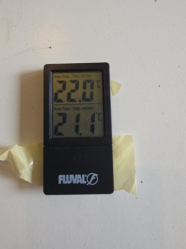 Fluval termometro - fluval,
