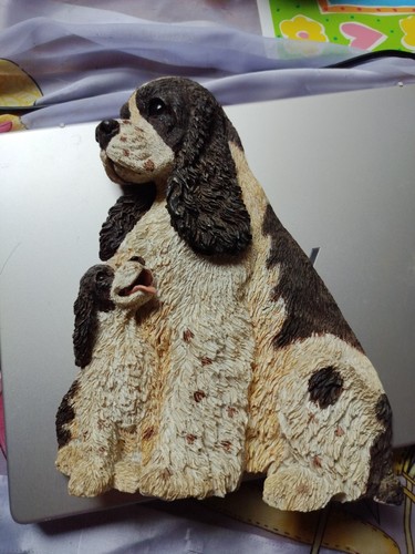 Cocker spaniel puppy - spaniel, w/