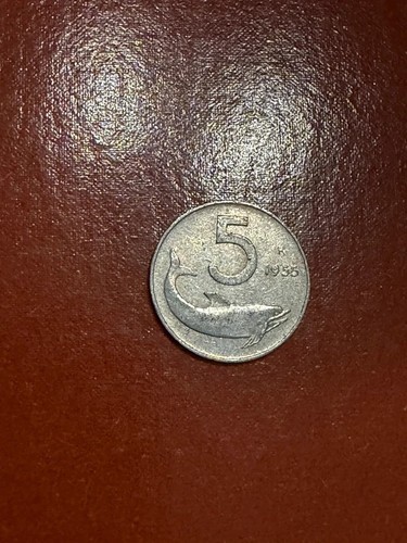Moneta lire 1955 delfino - moneta, 5