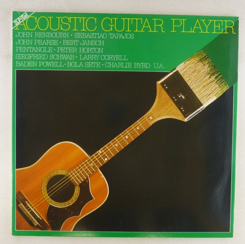 Lp vinyl chitarrista - vinyl,