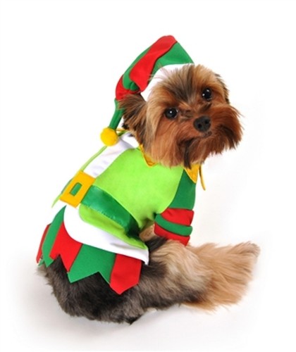 Costume cane aiutante babbo - ,