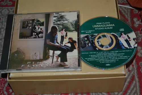 Pink floyd ummagumma studio - pink,