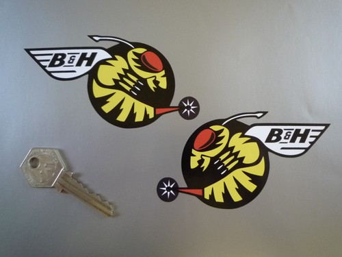 Jordan buzzing hornets - b&h,