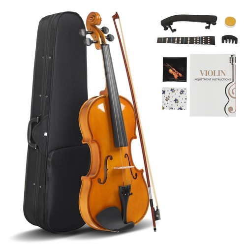 New acoustic violin - violin, full
