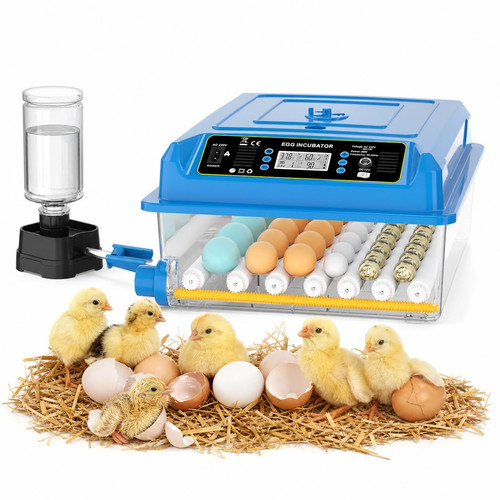 Incubatrice automatica - incubatrice,