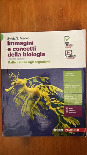 Immagini concetti della - concetti,