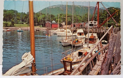 Maine camden harbor view with - harbor,