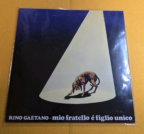 Rino gaetano mio fratello è - -,