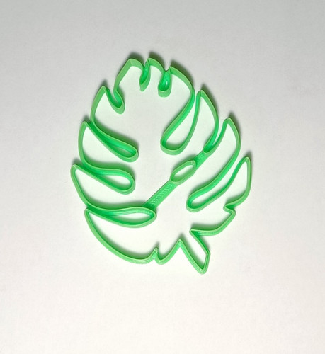Foglia tropicale monstera - foglia,