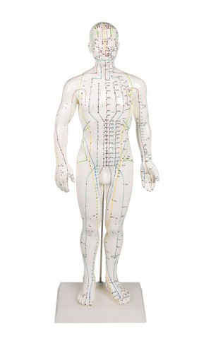 Figura agopuntura maschile - agopuntura,