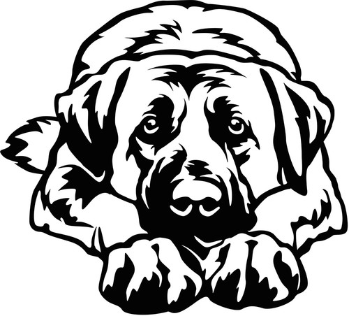 Adesivo cangal cane - cane, pastore