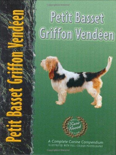 Petit basset griffon vendeen - basset,