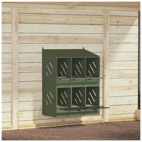 Nidificazione pollo verde - nidificazione,