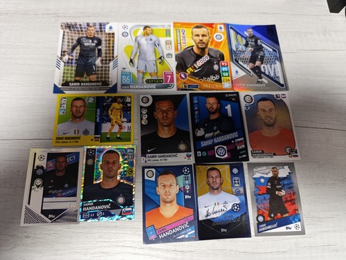 Tematica samir handanovic - tematica,