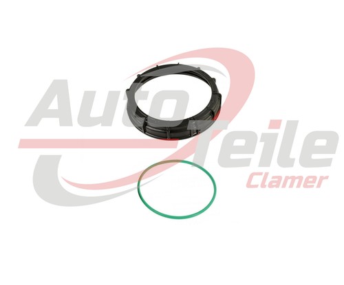 Anello fissaggio renault - anello,