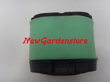 Filtro aria trattorino