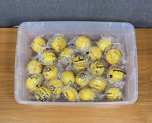 Lotto minions rise - di,