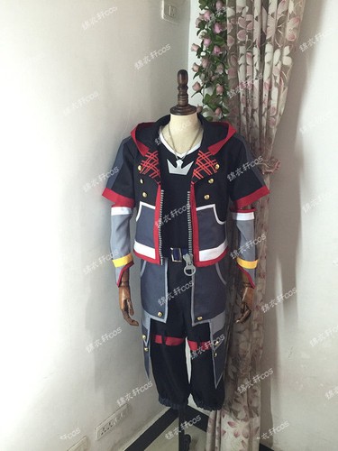 Kingdom hearts iii sora - 3,