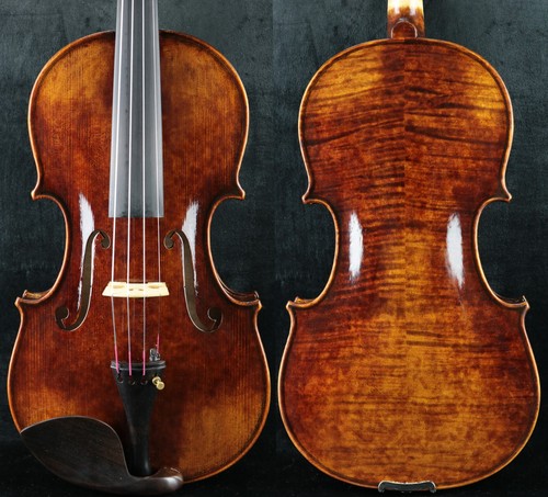 Maestro bel violino fatto - violino,