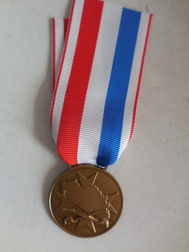 Medaglia membri dello - medaglia, ai